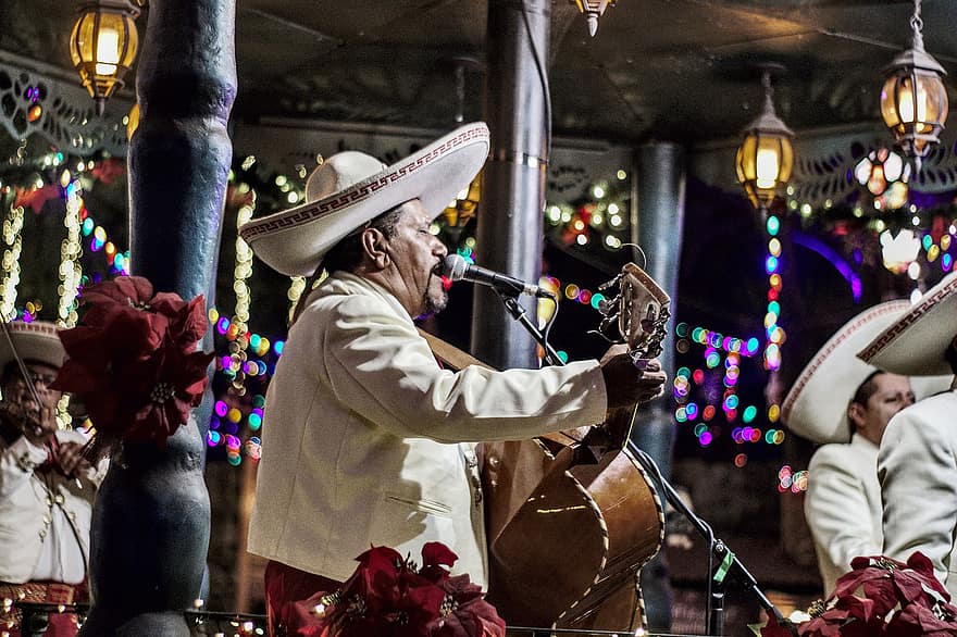 mariachi, violão, México, música, instrumento, guitarrista, chapéu, cultura, latino, traje, popular