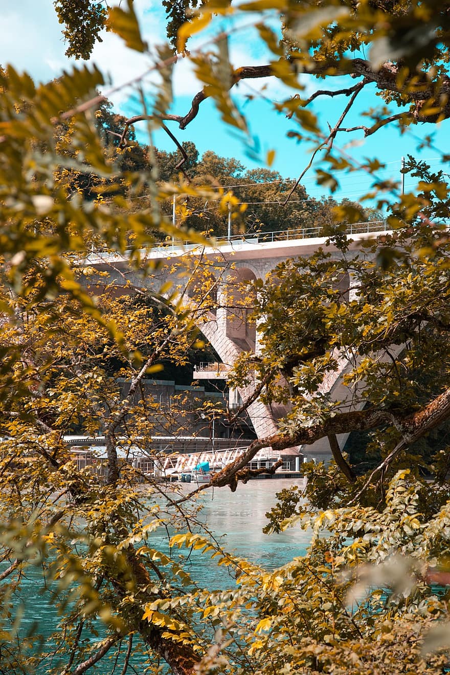 ponte, struttura, alberi, lago, giunzione, lato del fiume, distretto del Lago, città, Svizzera, montagna