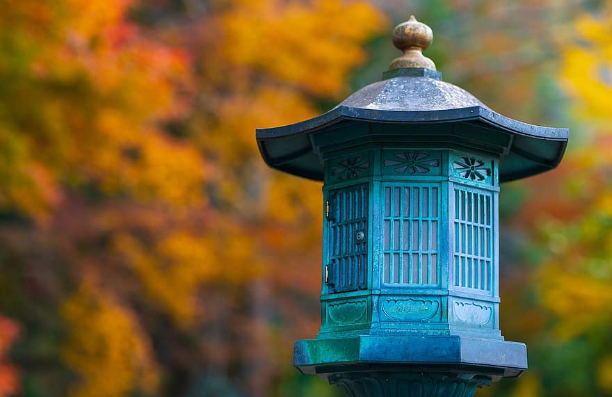 list, Japonsko, kultura, kyoto, zahrada, zen, starý, podzim