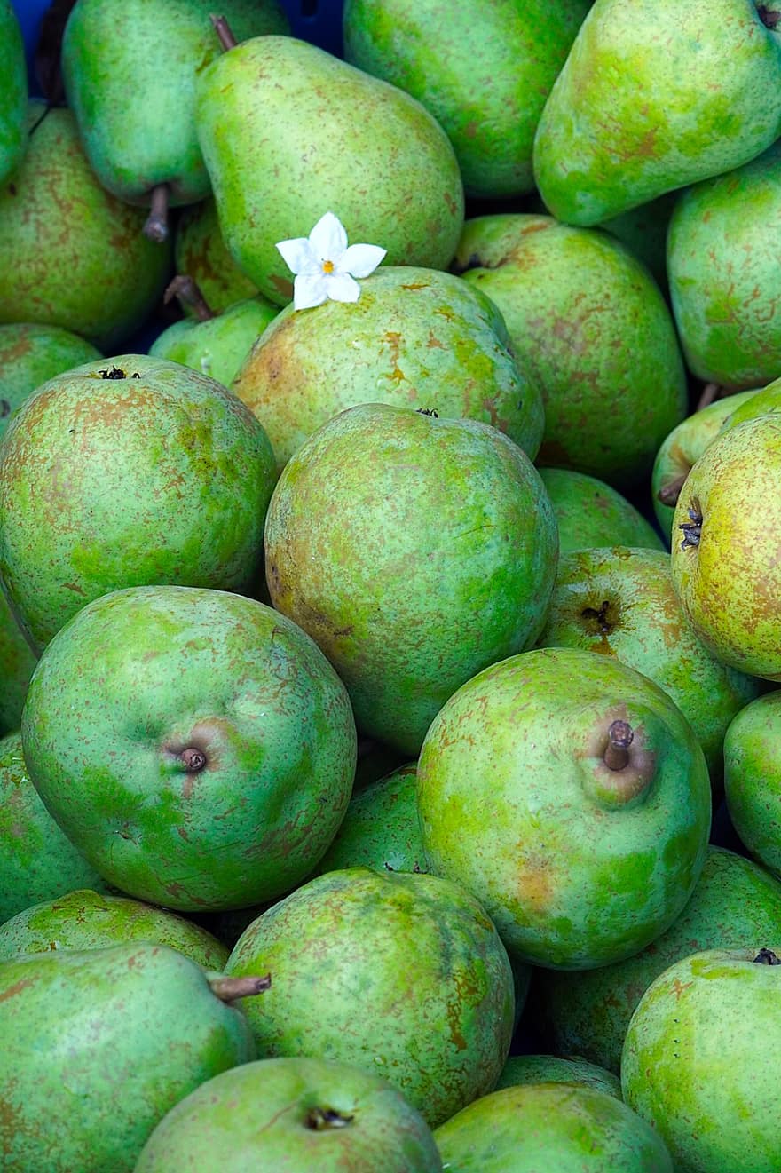 fruit, pears, harvest, freshness, food, close-up, organic, green color, healthy eating, leaf, agriculture