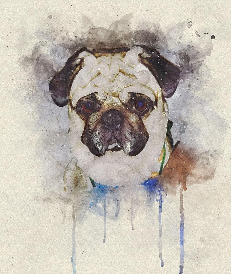 Dog, Pug, Painting, Animal, Pet, Puppy, Cute, Canine, Face, Human, Office