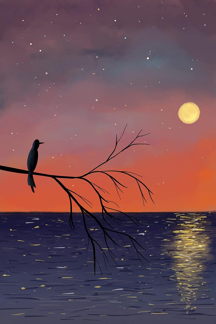 pták, větev, strom, sedící, západ slunce, noc, svítání, moře, odraz, měsíc, Příroda