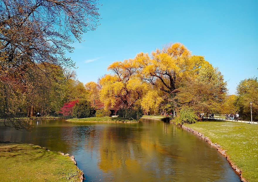 Fall, Pond, Park, Forest, Nature, Outdoors, Water, Trees, autumn, tree, season