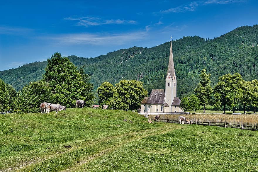 Church, Cows, Hill, Mountains, Forest, Trees, Pasture, Nature, Scenic, Landscape