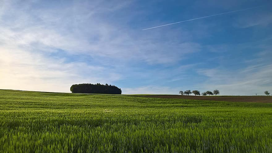 campo, paesaggio, Westerwald, ceduo, prato, rurale, arabile, agricoltura, natura, cielo, nuvole