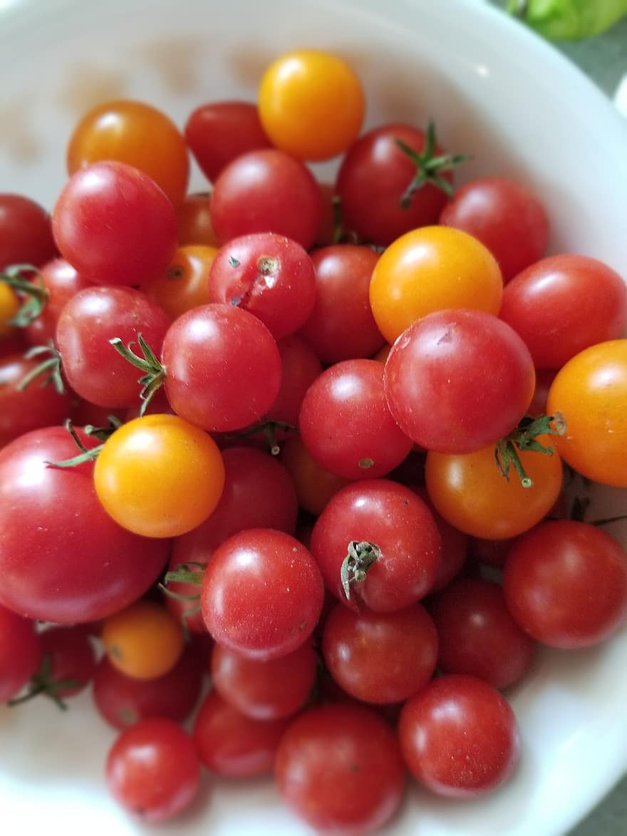 körsbärstomater, tomater, skörda, producera, organisk, färska tomater, skål med tomater, grönsaker, äta, hälsosam