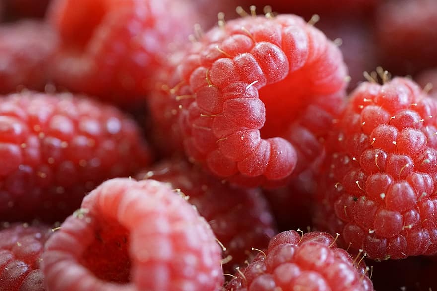 hindbær, bær, frugter, røde bær, tæt på, frugt, mad, friskhed, bærfrugt, moden, sund kost