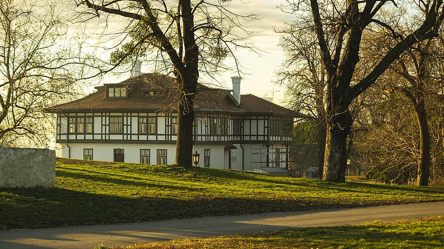 Casa, cittadina, belgrado, Serbia, architettura, strada, sentiero, all'aperto, albero, esterno dell'edificio, scena rurale