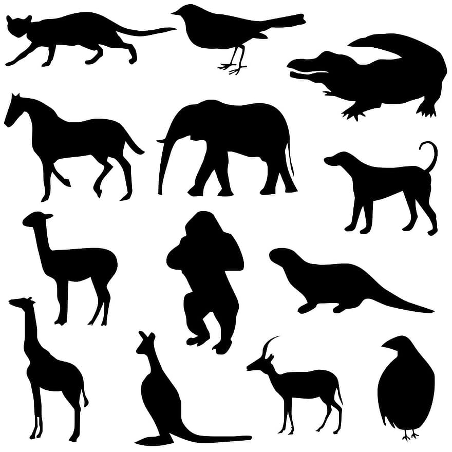 dyr, silhuetter, tegning, alligator, fugl, katt, hund, elefant, hest, oter, gorilla
