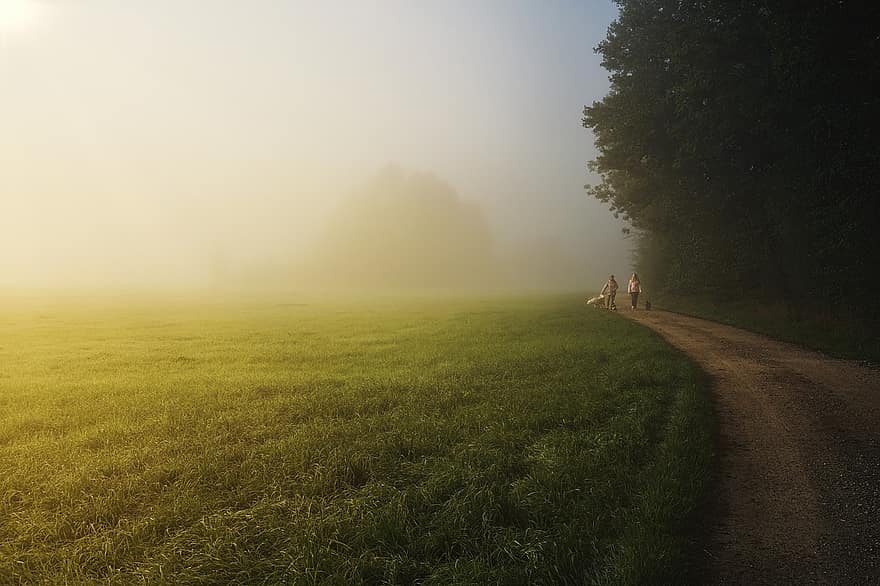 Trees, Field, Trail, Pathway, Fog, Forest, People, Dogs, Walk, Travel, Nature