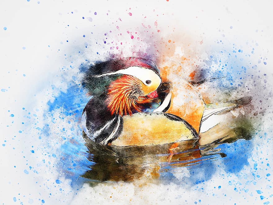 Bird, Duck, Color, Animal, Art, Abstract, Vintage, Watercolor, Feather, Nature, Artistic