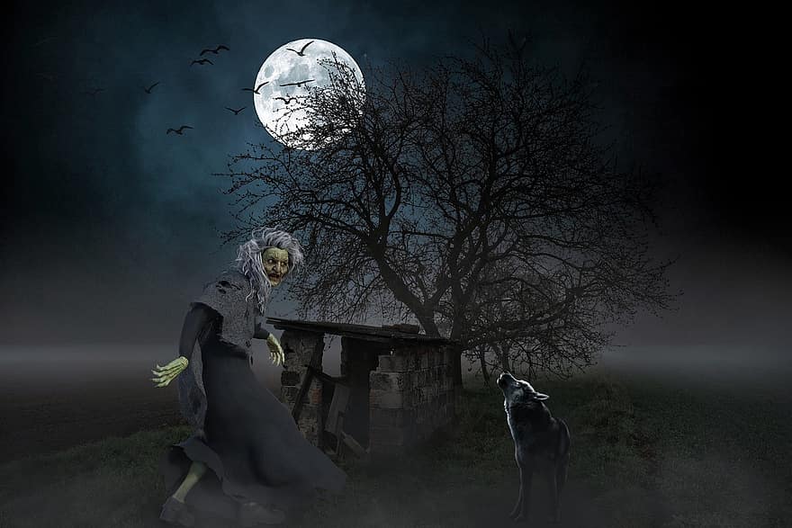 Hintergrund, Ruinen, Baum, Mond, dunkel, Hexe, Wolf, Fantasie, weiblich, Charakter, digitale Kunst