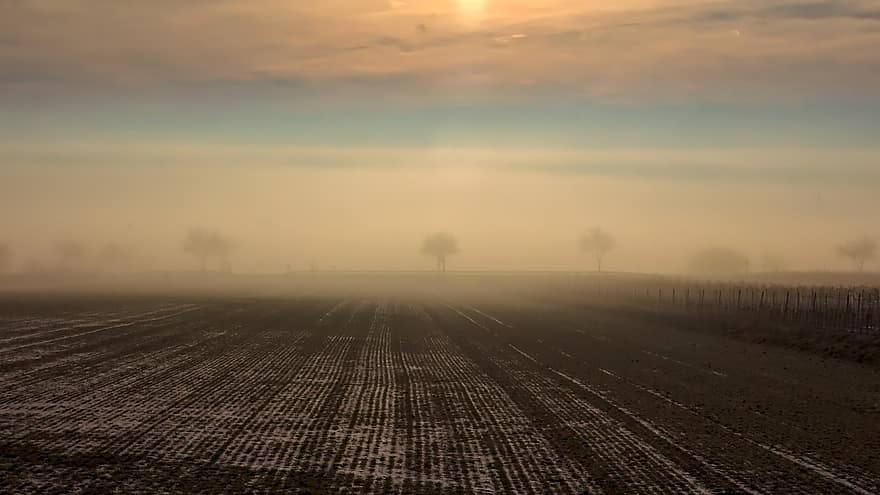 туман, поле, дерева, світанок, схід сонця, вранці, орний, землі, ферми, краєвид, природи
