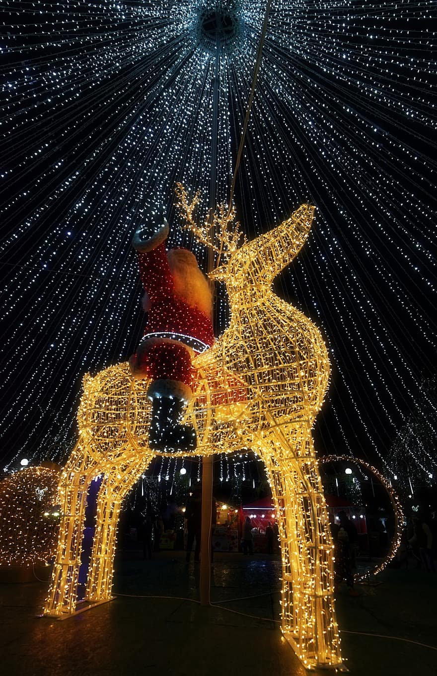 drzewko świąteczne, noc, czas świąt, Boże Narodzenie, Mójsezon świąteczny, Rumunia, oświetlenie świąteczne, wakacje