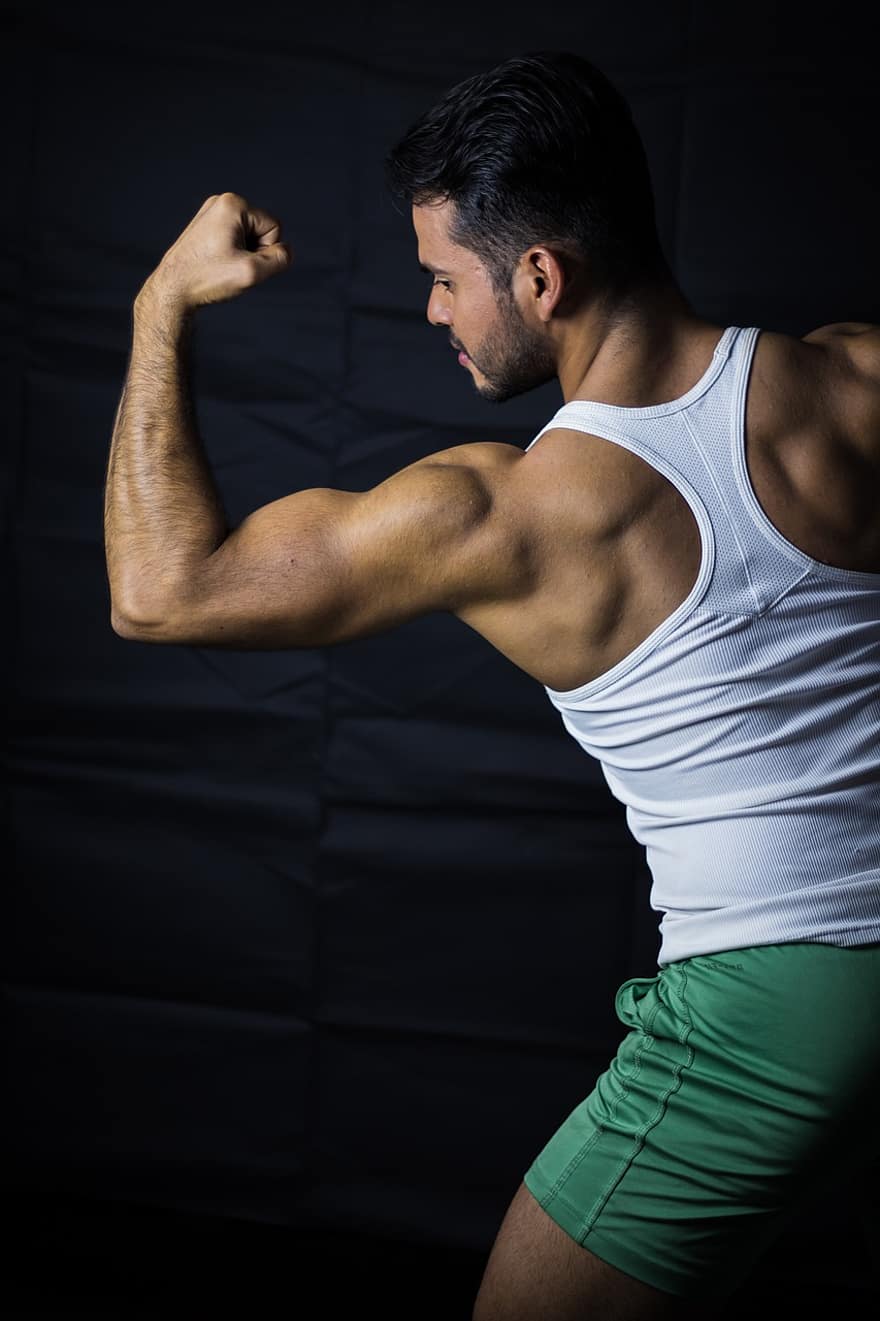 sportowiec, Atletico, biceps, z powrotem, ciało, Sport, zdrowy, mężczyzna, fitnes, Model, silny