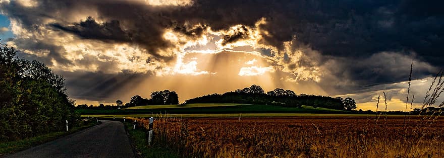 заход солнца, поля, пшеница, пшеничные поля, ферма, сельское хозяйство, пахотная земля, сельхозугодий, панорама, небо, облака