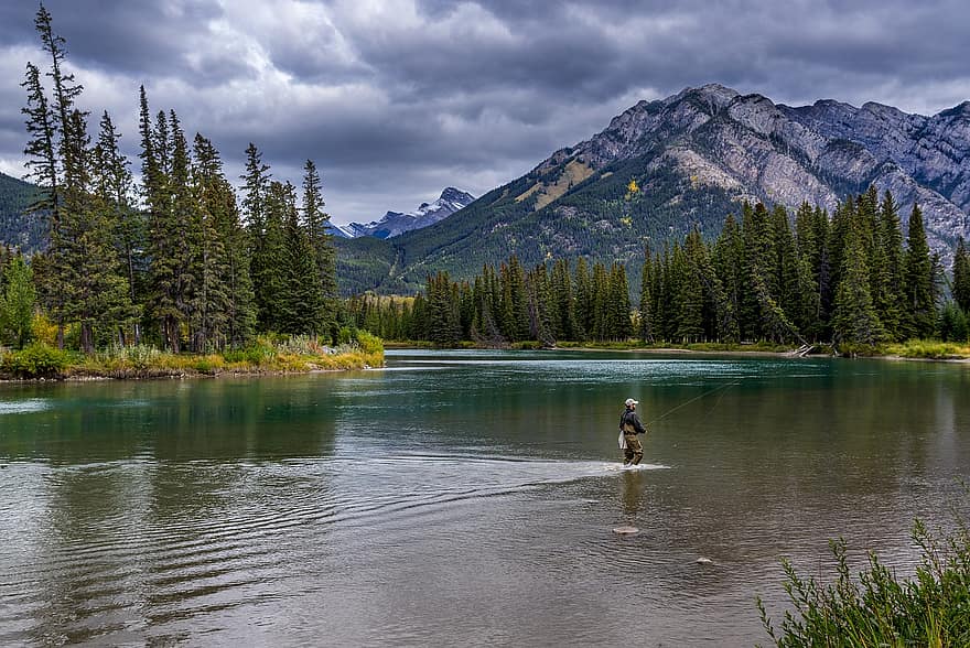 River, Fishing, Mountains, Fisherman, Man, Water, Trees, Cloudy, National Park, Rocky Mountains, Mountain Range