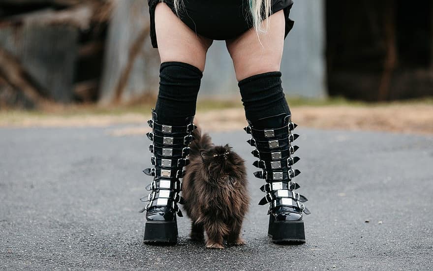 gadis, kucing, emo, punk, alternatif, gaya, mode, trendi, gothic, kucing persia, sepatu bot