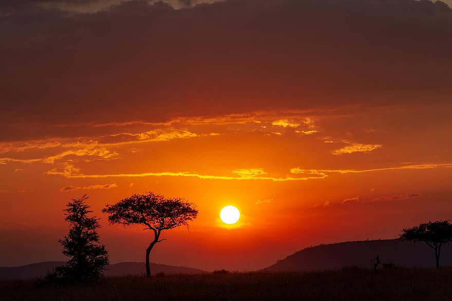 Afrika, Serengeti, Tanzania, safari, dieren in het wild, zonsondergang, natuur, pittoreske, landschap, ondergaande zon, schemering