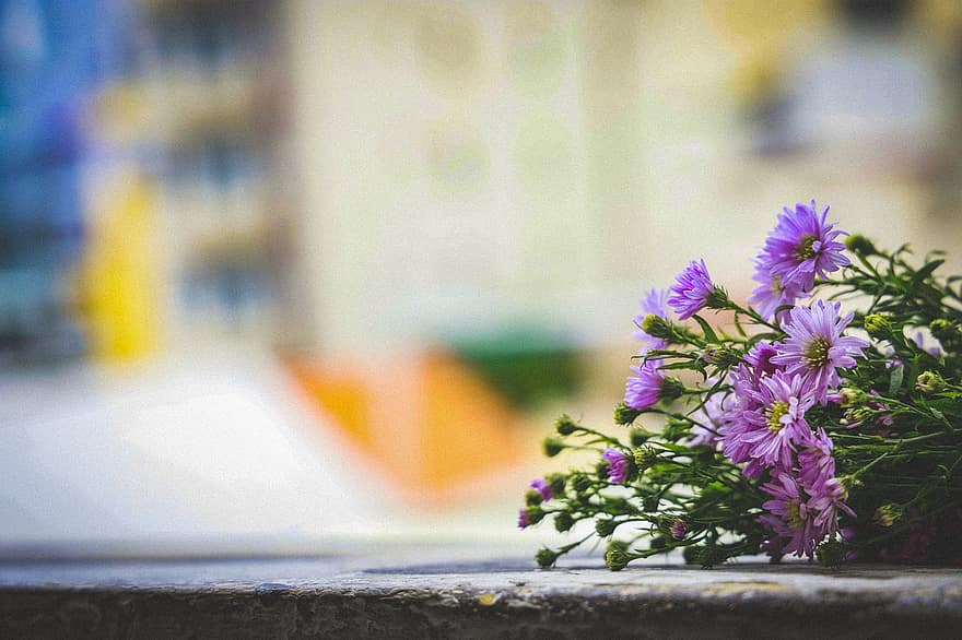цветя, букет, край на балкона, лилави цветя, хризантеми, разцвет, цвят