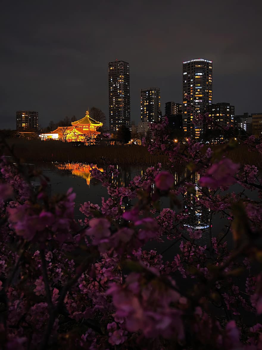 pilsēta, pavasarī, ceļot, tūrismu, izpēte, Japāna, Bentendo templis, pilsētas ainava, plūmju ziedi, Šinobazu dīķis, horizonts