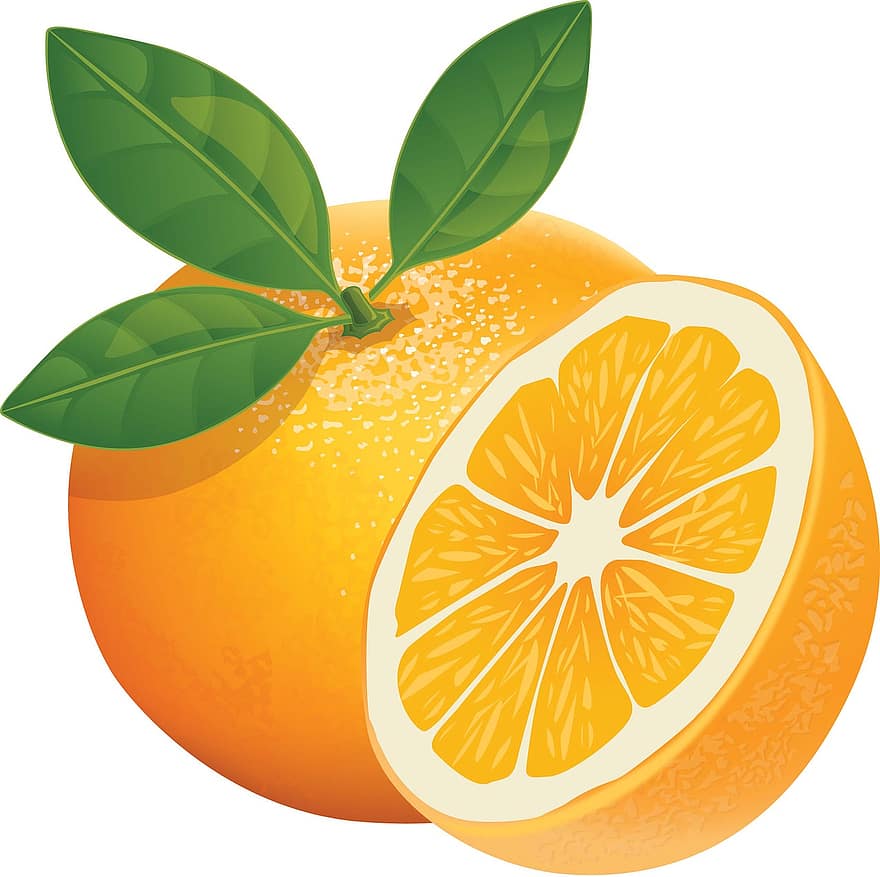 оранжев, плодове, здрав, сочен, прясно, ярък, жълт, лято, зрял, разрез