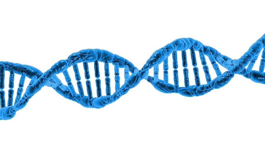 DNR, biologija, mokslas, DNR spiralė, baltymas, molekulės, molekulinė struktūra, chromosoma, spirale, mikrobiologija