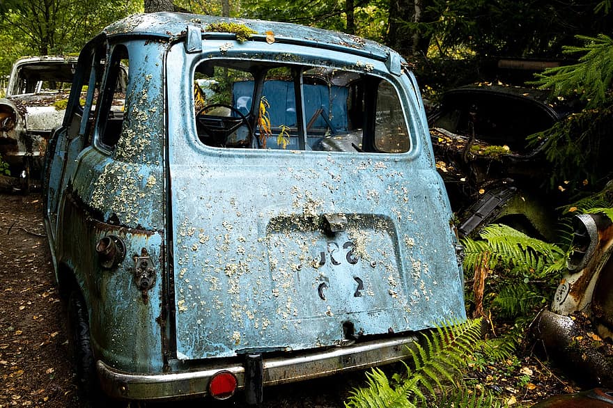 Wreck, Forest, Car, Woods, old, land vehicle, transportation, damaged, rusty, dirty, abandoned