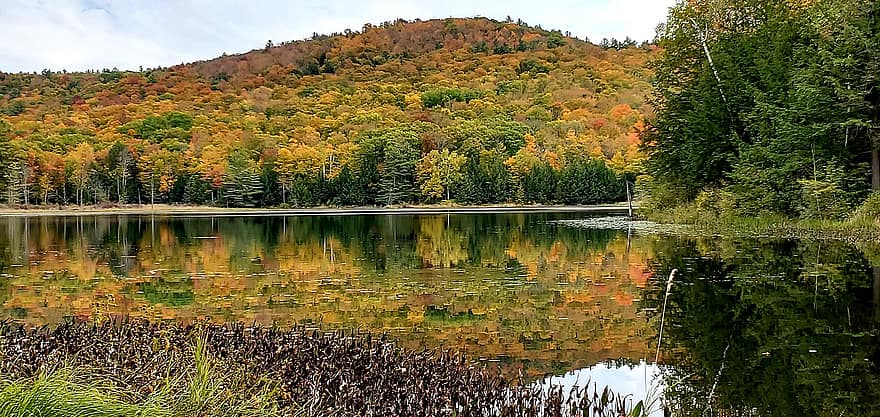 Vermont, lago, otoño, reflexión, ladera, bosque, follaje, árbol, amarillo, agua, paisaje