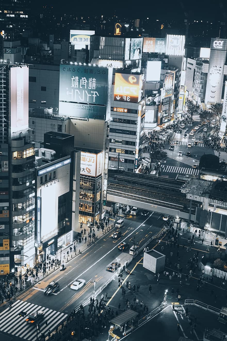 Shibuya, tokyo, natt, japan, bybildet, trafikk, byliv, skyskraper, bil, bygge eksteriør, bygget struktur