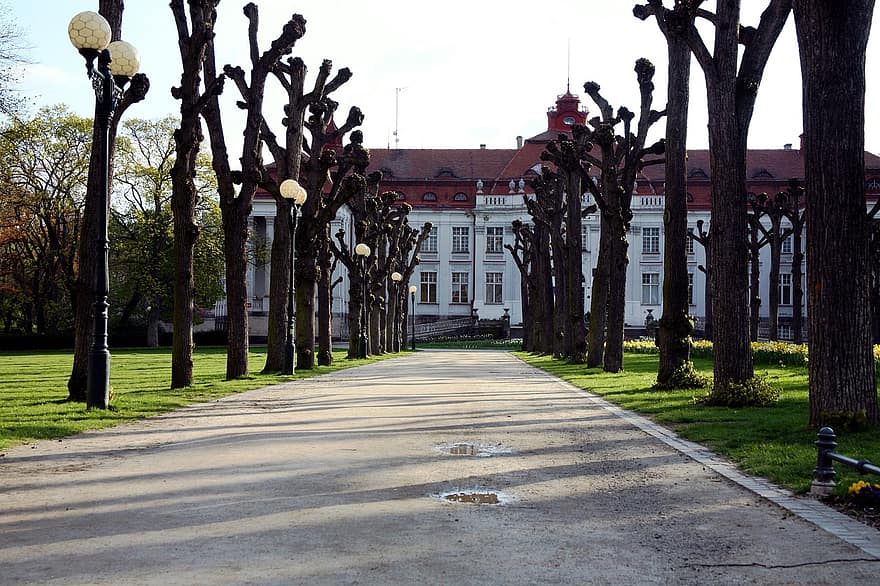parc, Château, Karlovy varie, République Tchèque, chemin, des arbres, vieille ville, ville, tourisme, architecture, herbe