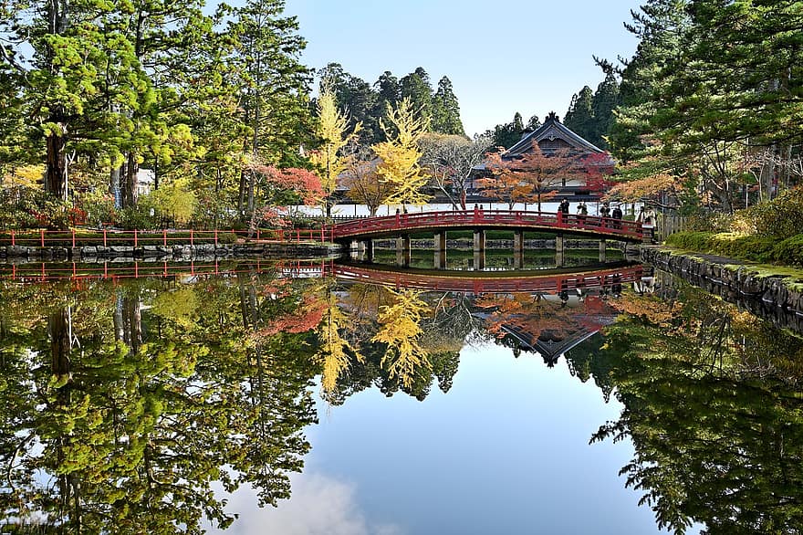 есен, градина, сезон, koyasan, езерце, храм, вода, дърво, размисъл, архитектура, листо