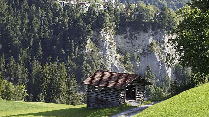 Reino tarpeklis, grisons, miškas, graubünden, Šveicarija, pobūdį, žolė, kalnas, kraštovaizdį, kaimo scenoje, pievos