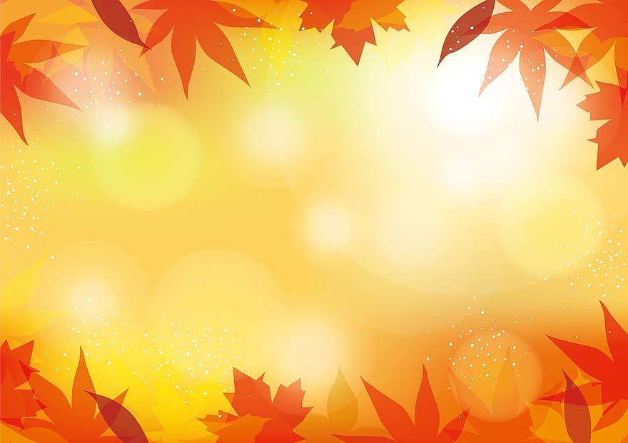 fond d'automne, bokeh, tomber, la nature, feuilles, coloré, ambiance, saison, paysage, plante, ciel