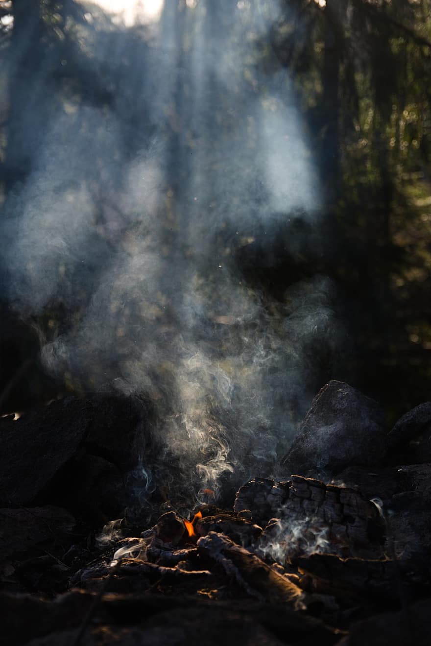 foc de tabără, foc, scânteie, fum, aer, pădure, ușoară, excursie, flacără, fenomen natural, ardere