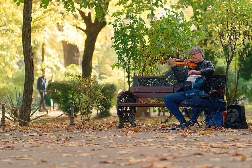 공원, 음악가, 바이올린 연주자, 가을, 남자, 한 사람, 좌석, 라이프 스타일, 성인, 잎, 나무