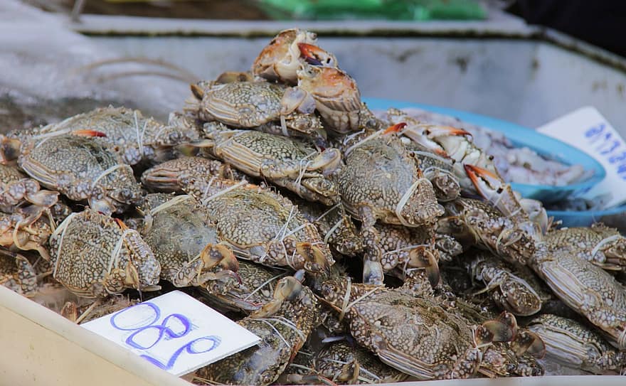 Krabbe, Frische Krabben, Lebensmittel, Markt, Meeresfrüchte