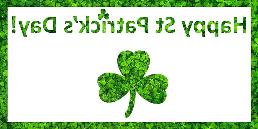 ngày thánh yêu nước, ngày thánh Patrick, irish, lễ kỷ niệm, cây xa trục thảo