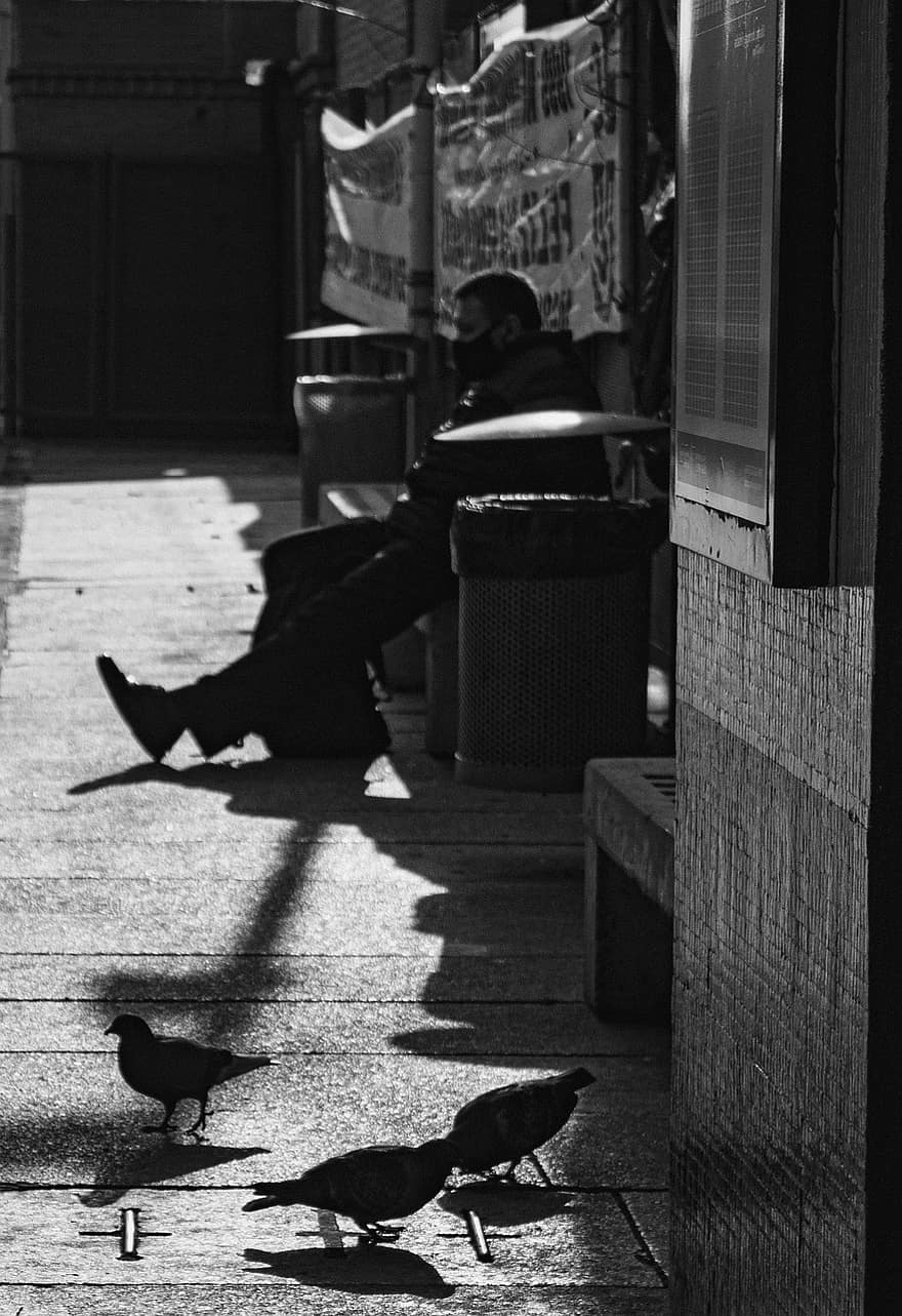 Thought, Sadness, Moment, Drama, Provision, black and white, men, city life, pigeon, silhouette, sitting