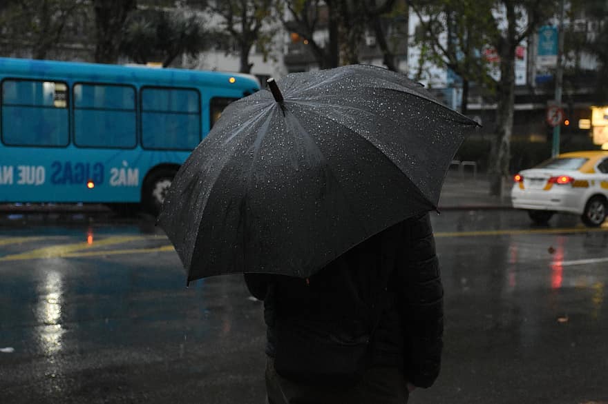 Raining, Street, City, Bus Stop, Montevideo, rain, umbrella, weather, wet, city life, raindrop
