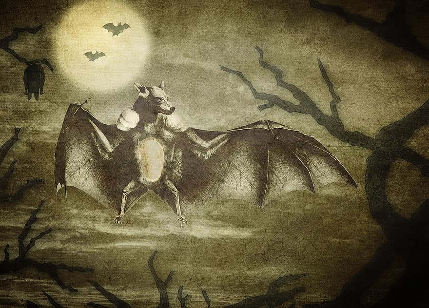 ratpenats, Halloween, lluna plena, dibuix, esbós