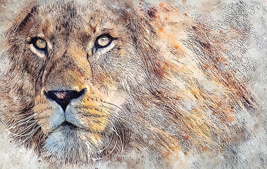 løve, dyr, kat, feline, farligt, dyreliv, natur, portræt, maleri, dyr i naturen, undomesticated cat