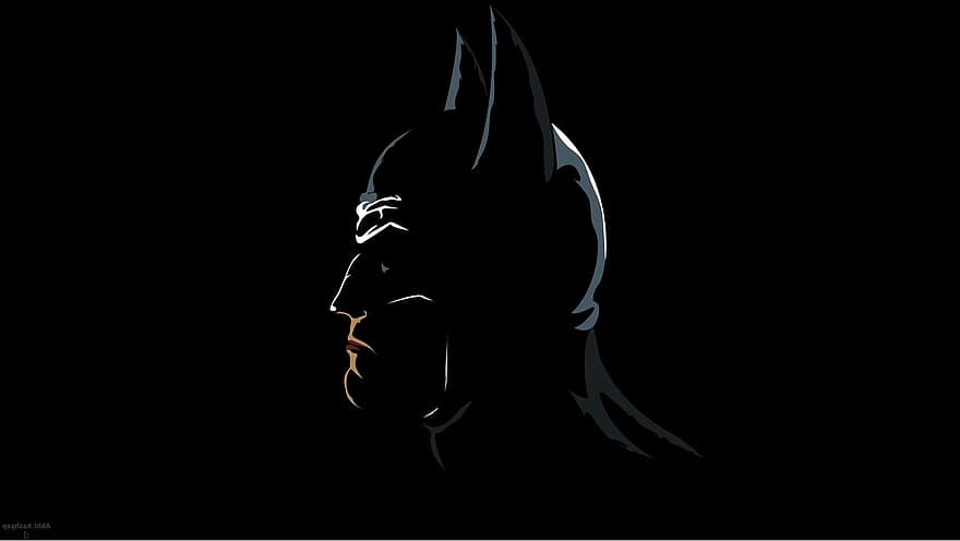 Läderlappen, superhjälte, porträtt, profil, Bruce Wayne, hjälte, mask, mörk, svart