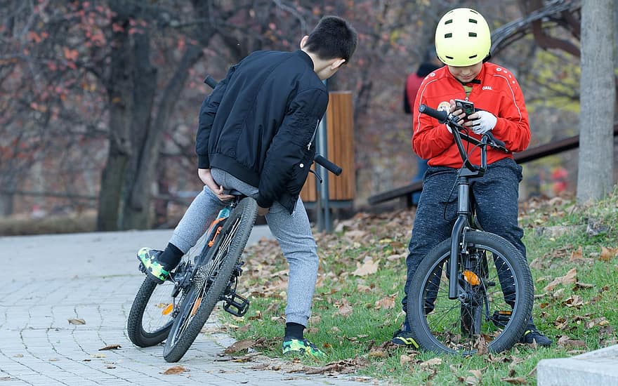 děti, chlapci, jízdní kola, hrát si, helma, chytrý telefon, aktivita, park, jízdní kolo, cyklistika, muži