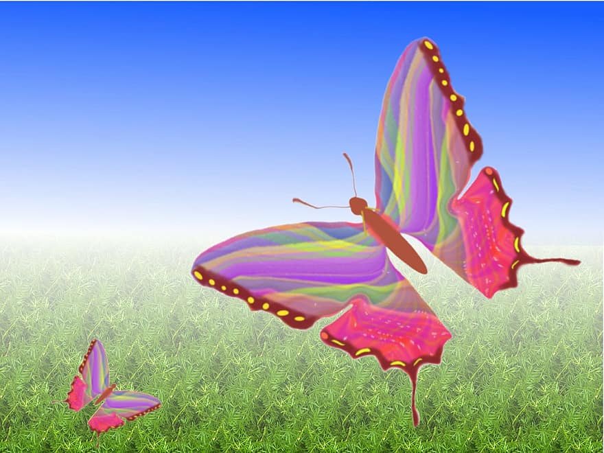 kupu-kupu, transformasi, perubahan, serangga, hewan, ulat, kepompong, margasatwa, pertumbuhan, raja, musim panas