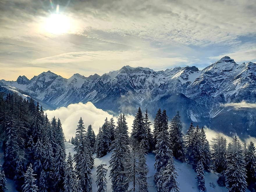 산들, 피크, 눈, 나무, 숲, 정상 회담, 냉랭한, 겨울, 태양, 햇빛, 눈이 내리는