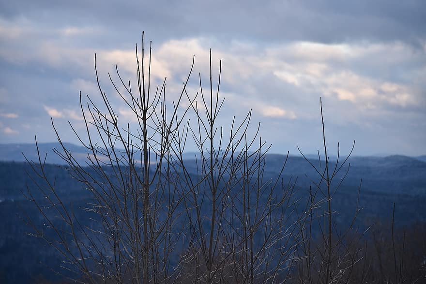 Nature, Bush, Vermont, Landscape, Winter, Mountains, Sky, Outdoors, blue, summer, water