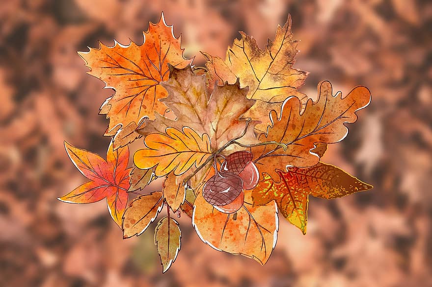 bellotas, hojas, otoño, follaje, Nueces de roble, roble, naturaleza, colores de otoño