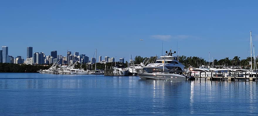 yachts, mer, immeubles, Club Yacht, Dock, port, jetée, eau, Miami, Floride, Etats-Unis