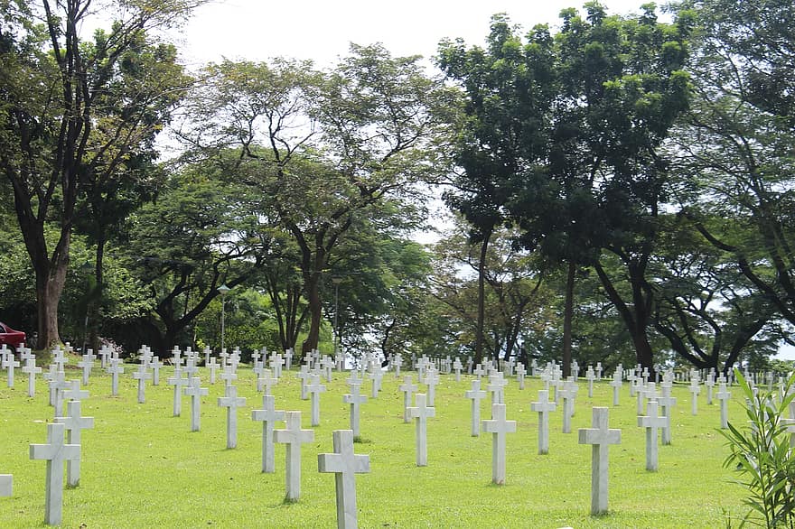 cimitero, attraversare, guerra, lapide, militare, esercito, forze armate, albero, erba, tomba, veterano
